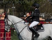 Rangel Cassius TosTour2013- S5 2265 : Arezzo, Arezzo Equestrian Centre, Cassius, Rangel Aurora, Toscana Tour 2013, foto di Stefano Secchi ©