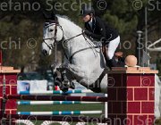 Rangel Cassius TosTour2013- S5 2266 : Arezzo, Arezzo Equestrian Centre, Cassius, Rangel Aurora, Toscana Tour 2013, foto di Stefano Secchi ©