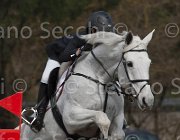 Reina Waipita TosTour 2013- S4 6449 : Arezzo Equestrian Centre, Reina Rachele, Toscana Tour 2013, Waipita, foto di Stefano Secchi ©