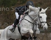Reina Waipita TosTour 2013- S4 6450 : Arezzo Equestrian Centre, Reina Rachele, Toscana Tour 2013, Waipita, foto di Stefano Secchi ©