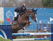 Richard Quister TosTour 2013- S5 7330 : Arezzo Equestrian Centre, Quister de Guldenboom, Richard Philipps Jane, Toscana Tour 2013, foto di Stefano Secchi ©