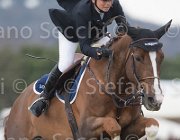 Richard Quister TosTour 2013- S5 7340 : Arezzo Equestrian Centre, Quister de Guldenboom, Richard Philipps Jane, Toscana Tour 2013, foto di Stefano Secchi ©