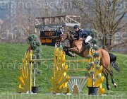 Rikkert Sorrento TosTour2013- S5 2704 : Arezzo, Arezzo Equestrian Centre, Rikkert Kristen, Sorrento, Toscana Tour 2013, foto di Stefano Secchi ©
