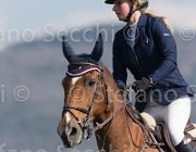 Rikkert Sorrento TosTour2013- S5 2711 : Arezzo, Arezzo Equestrian Centre, Rikkert Kristen, Sorrento, Toscana Tour 2013, foto di Stefano Secchi ©