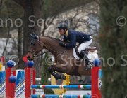 Rivetti Cartoon TosTour 2013- S4 6990 : Arezzo Equestrian Centre, Cartoon, Rivetti Cassio, Toscana Tour 2013, foto di Stefano Secchi ©