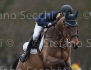 Rivetti Cartoon TosTour 2013- S4 6993 : Arezzo Equestrian Centre, Cartoon, Rivetti Cassio, Toscana Tour 2013, foto di Stefano Secchi ©