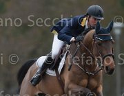 Rivetti Cartoon TosTour 2013- S4 6994 : Arezzo Equestrian Centre, Cartoon, Rivetti Cassio, Toscana Tour 2013, foto di Stefano Secchi ©
