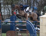 Rivetti Cartoon TosTour 2013- S4 6997 : Arezzo Equestrian Centre, Cartoon, Rivetti Cassio, Toscana Tour 2013, foto di Stefano Secchi ©