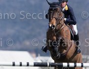 Rivetti Constara TosTour2013- S5 2714 : Arezzo, Arezzo Equestrian Centre, Constara, Rivetti Cassio, Toscana Tour 2013, foto di Stefano Secchi ©