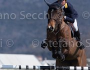 Rivetti Constara TosTour2013- S5 2715 : Arezzo, Arezzo Equestrian Centre, Constara, Rivetti Cassio, Toscana Tour 2013, foto di Stefano Secchi ©