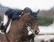 Rivetti Constara TosTour 2013- S5 7308 : Arezzo Equestrian Centre, Constara, Rivetti Cassio, Toscana Tour 2013, foto di Stefano Secchi ©