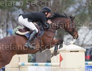Roberti Lannika TosTour 2013- S4 6755 : Arezzo Equestrian Centre, Lannika, Roberti Manuel, Toscana Tour 2013, foto di Stefano Secchi ©