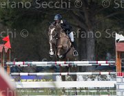 Rodriquez Sjaloma TosTour2013- S5 2408 : Arezzo, Arezzo Equestrian Centre, Rodriquez Ludovica, Sjaloma K, Toscana Tour 2013, foto di Stefano Secchi ©