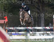 Rodriquez Sjaloma TosTour2013- S5 2410 : Arezzo, Arezzo Equestrian Centre, Rodriquez Ludovica, Sjaloma K, Toscana Tour 2013, foto di Stefano Secchi ©
