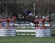 Rodriquez Sjaloma TosTour2013- S5 2413 : Arezzo, Arezzo Equestrian Centre, Rodriquez Ludovica, Sjaloma K, Toscana Tour 2013, foto di Stefano Secchi ©