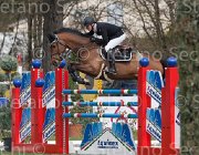 Romp Twan TosTour 2013- S4 6610 : Arezzo Equestrian Centre, Romp Ruben, Toscana Tour 2013, Twan, foto di Stefano Secchi ©