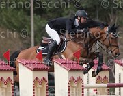 Romp Twan TosTour 2013- S4 6613 : Arezzo Equestrian Centre, Romp Ruben, Toscana Tour 2013, Twan, foto di Stefano Secchi ©