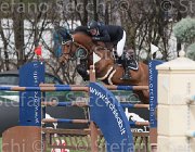 Romp Twan TosTour 2013- S4 6616 : Arezzo Equestrian Centre, Romp Ruben, Toscana Tour 2013, Twan, foto di Stefano Secchi ©