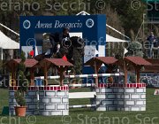Sanfelice Aseth TosTour2013- S5 2364 : Arezzo, Arezzo Equestrian Centre, Aseth S, Sanfelice Antonio, Toscana Tour 2013, foto di Stefano Secchi ©