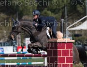 Sanfelice Aseth TosTour2013- S5 2367 : Arezzo, Arezzo Equestrian Centre, Aseth S, Sanfelice Antonio, Toscana Tour 2013, foto di Stefano Secchi ©
