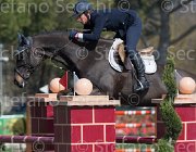 Sanfelice Aseth TosTour2013- S5 2369 : Arezzo, Arezzo Equestrian Centre, Aseth S, Sanfelice Antonio, Toscana Tour 2013, foto di Stefano Secchi ©