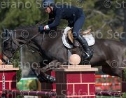 Sanfelice Aseth TosTour2013- S5 2370 : Arezzo, Arezzo Equestrian Centre, Aseth S, Sanfelice Antonio, Toscana Tour 2013, foto di Stefano Secchi ©
