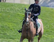 Sanfelice Indiana TosTour2013- S5 2592 : Arezzo, Arezzo Equestrian Centre, Indiana del Terriccio, Sanfelice Antonio, Toscana Tour 2013, foto di Stefano Secchi ©
