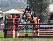 Schlusselburg Cashmare TosTour2013- S5 2048 : Arezzo, Arezzo Equestrian Centre, Cashmare, Schlusselburg Sven, Toscana Tour 2013, foto di Stefano Secchi ©