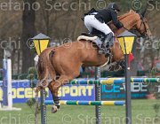 Schou Allerdings TosTour 2013- S4 6694 : Allerdings, Arezzo Equestrian Centre, Schou Andreas, Toscana Tour 2013, foto di Stefano Secchi ©