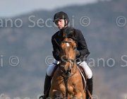 Shuttert Veldhoek TosTour2013- S5 2903 : Arezzo, Arezzo Equestrian Centre, Salinger Veldoek, Schuttert Hendrik, Toscana Tour 2013, foto di Stefano Secchi ©