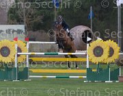 Spooner Caretol TosTour2013- S5 1269 : Arezzo, Caretol, Spooner Richard, Toscana Tour 2013, foto di Stefano Secchi ©