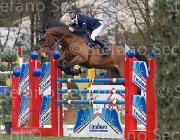 Spooner Caretol TosTour 2013- S4 6713 : Arezzo Equestrian Centre, Caretol, Spooner Richard, Toscana Tour 2013, foto di Stefano Secchi ©