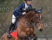 Spooner Caretol TosTour 2013- S4 6714 : Arezzo Equestrian Centre, Caretol, Spooner Richard, Toscana Tour 2013, foto di Stefano Secchi ©