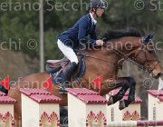 Spooner Caretol TosTour 2013- S4 6716 : Arezzo Equestrian Centre, Caretol, Spooner Richard, Toscana Tour 2013, foto di Stefano Secchi ©
