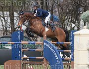 Spooner Caretol TosTour 2013- S4 6718 : Arezzo Equestrian Centre, Caretol, Spooner Richard, Toscana Tour 2013, foto di Stefano Secchi ©