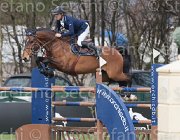 Spooner Caretol TosTour 2013- S4 6719 : Arezzo Equestrian Centre, Caretol, Spooner Richard, Toscana Tour 2013, foto di Stefano Secchi ©