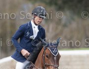 Spooner Caretol TosTour 2013- S4 6721 : Arezzo Equestrian Centre, Caretol, Spooner Richard, Toscana Tour 2013, foto di Stefano Secchi ©