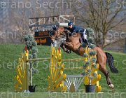 Stampfli Alessa TosTour2013- S5 2940 : Alessa Z, Arezzo, Arezzo Equestrian Centre, Stampfli Emilie, Toscana Tour 2013, foto di Stefano Secchi ©