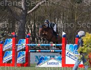Stampfli Alessa TosTour 2013- S5 7452 : Alessa Z, Arezzo Equestrian Centre, Stampfli Emilie, Toscana Tour 2013, foto di Stefano Secchi ©