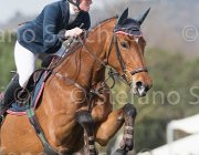 Stampfli Alessa TosTour 2013- S5 7461 : Alessa Z, Arezzo Equestrian Centre, Stampfli Emilie, Toscana Tour 2013, foto di Stefano Secchi ©