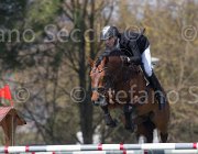Stock Lightning TosTour2013- S5 2472 : Arezzo, Arezzo Equestrian Centre, Glock's Lightning, Stock Markus, Toscana Tour 2013, foto di Stefano Secchi ©