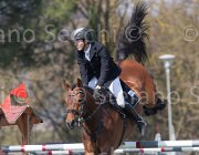 Stock Lightning TosTour2013- S5 2473 : Arezzo, Arezzo Equestrian Centre, Glock's Lightning, Stock Markus, Toscana Tour 2013, foto di Stefano Secchi ©