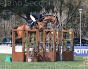 Stock Lightning TosTour2013- S5 2475 : Arezzo, Arezzo Equestrian Centre, Glock's Lightning, Stock Markus, Toscana Tour 2013, foto di Stefano Secchi ©