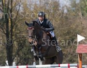 Szentirmai Nobylis TosTour2013- S5 2487 : Arezzo, Arezzo Equestrian Centre, Nobylis, Szentirmai Ferenc, Toscana Tour 2013, foto di Stefano Secchi ©