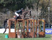 Szentirmai Nobylis TosTour2013- S5 2488 : Arezzo, Arezzo Equestrian Centre, Nobylis, Szentirmai Ferenc, Toscana Tour 2013, foto di Stefano Secchi ©