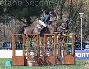 Szentirmai Nobylis TosTour2013- S5 2489 : Arezzo, Arezzo Equestrian Centre, Nobylis, Szentirmai Ferenc, Toscana Tour 2013, foto di Stefano Secchi ©