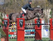 Szentirmai Nobylis TosTour2013- S5 2491 : Arezzo, Arezzo Equestrian Centre, Nobylis, Szentirmai Ferenc, Toscana Tour 2013, foto di Stefano Secchi ©