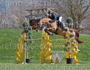Szentirmai Quickdiamond TosTour2013- S5 2693 : Arezzo, Arezzo Equestrian Centre, Quickdiamond, Szentirmai Ferenc, Toscana Tour 2013, foto di Stefano Secchi ©