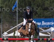 Szentirmai Quickdiamond TosTour 2013- S5 7150 : Arezzo Equestrian Centre, Quickdiamond, Szentirmai Ferenc, Toscana Tour 2013, foto di Stefano Secchi ©