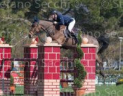 Umnus Nesquik TosTour2013- S5 2134 : Arezzo, Arezzo Equestrian Centre, Toscana Tour 2013, Umnus Roger_LB Nesquik, foto di Stefano Secchi ©